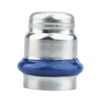 ASG INOX Заглушка 28